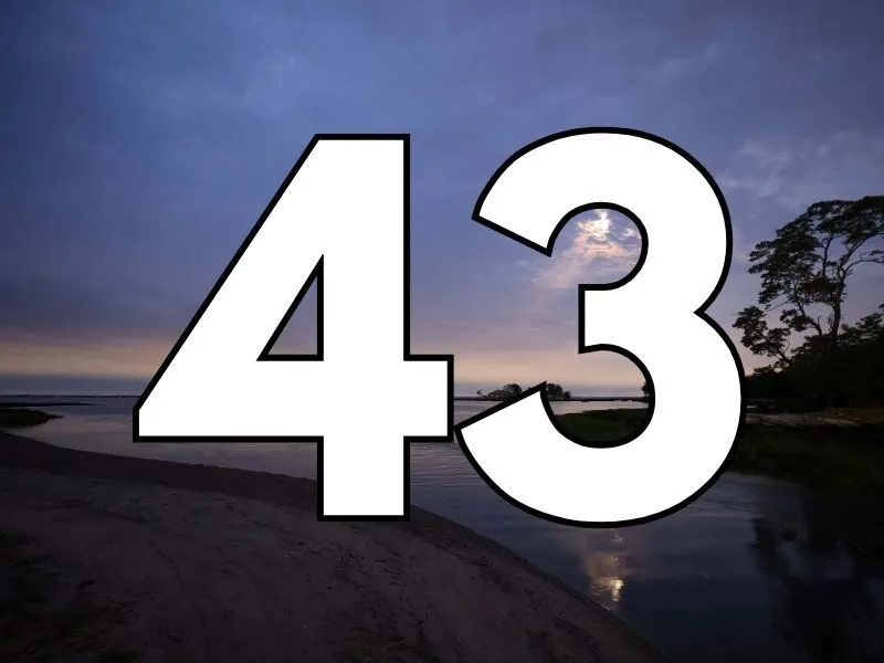 Giải thích ý nghĩa số 43