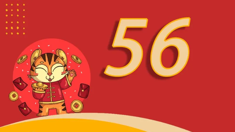 Ví dụ thực chiến và lộ trình nuôi số 3–7 ngày